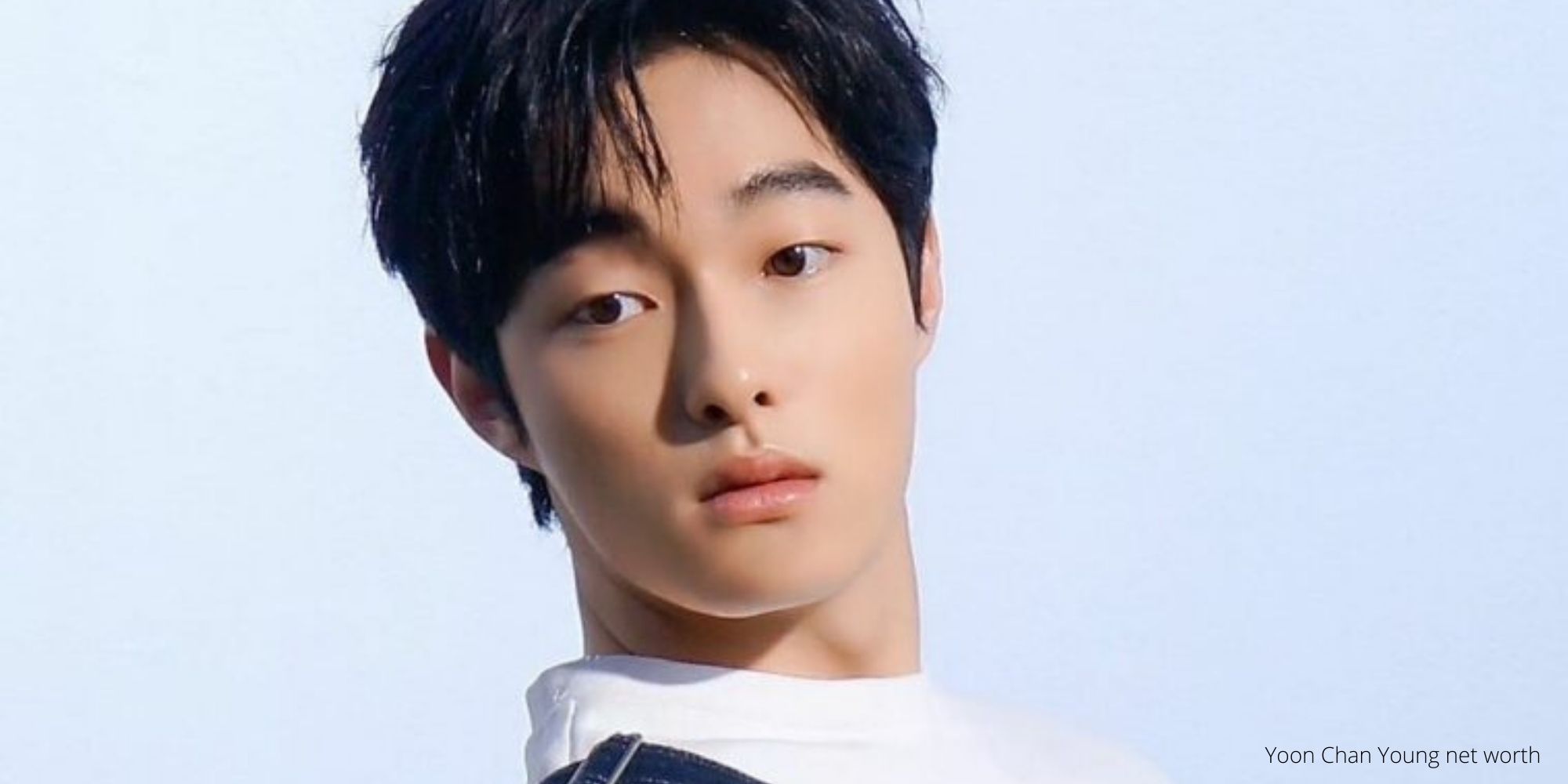 Yoon Chan Young net worth
