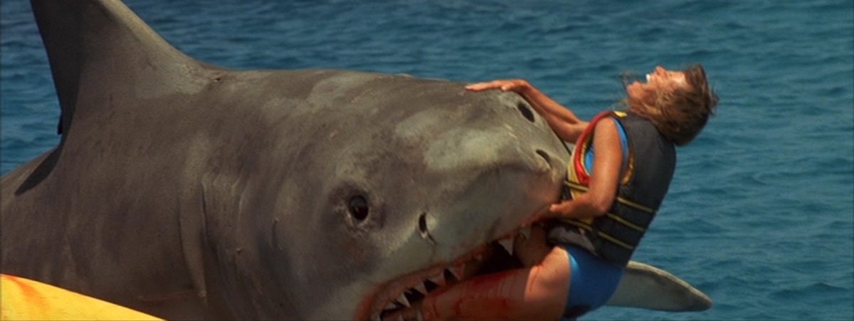 Another Shark Movie, Jaws