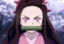 top 10 worst things about nezuko