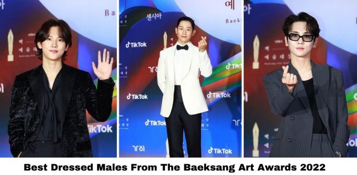 Hombres mejor vestidos de los Baeksang Arts Awards 2022