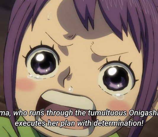 One Piece Episode 1019 Release Date Details