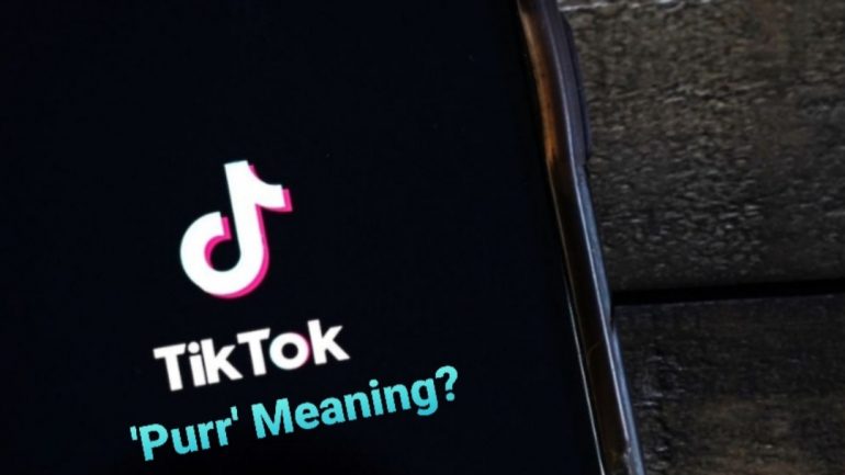 What Does Purr Mean On Tiktok The Slang Explained Otakukart 7373