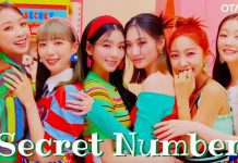 Secret Number members