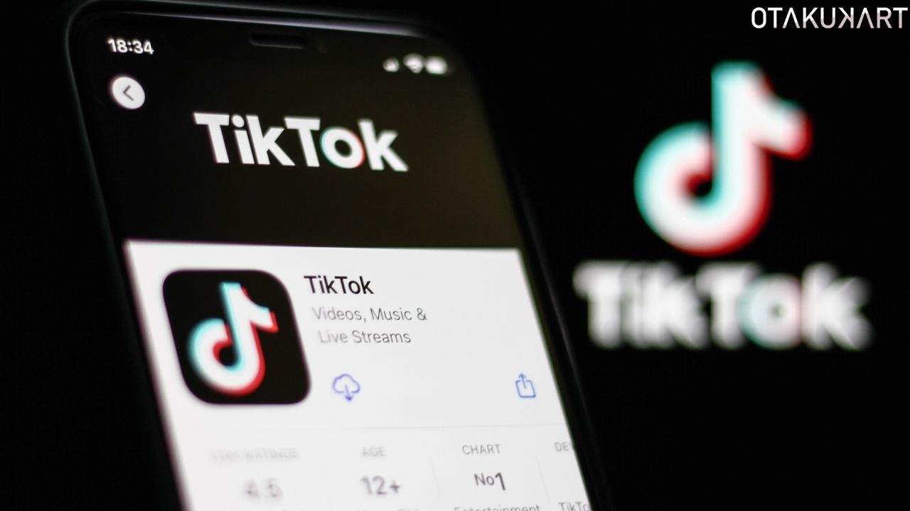 What Does Drippy On TikTok Mean OtakuKart