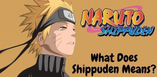 What Does Shippuden Mean
