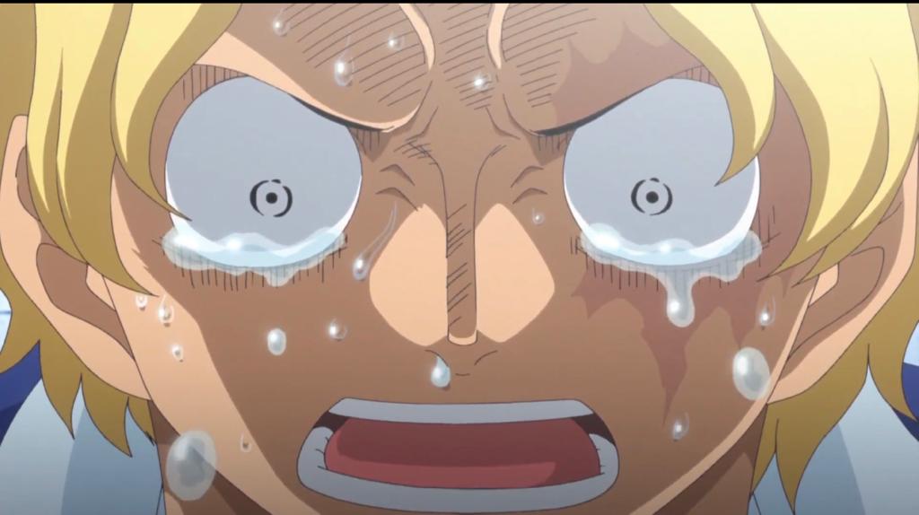What Episode Does Sabo’s Backstory is Revealed - Sabo Crying