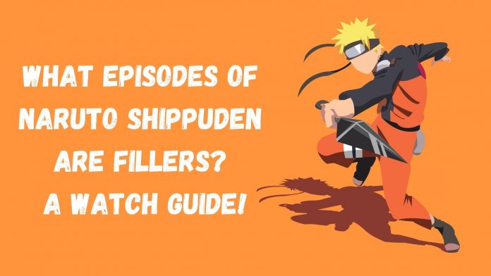 Los episodios de Naruto Shippuden son rellenos, ¡una guía para ver!