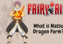 What is Natsu Dragon Form in Fairy Tail - E.N.D.
