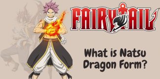 What is Natsu Dragon Form in Fairy Tail - E.N.D.