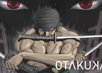 zoro ask mihawk to train him