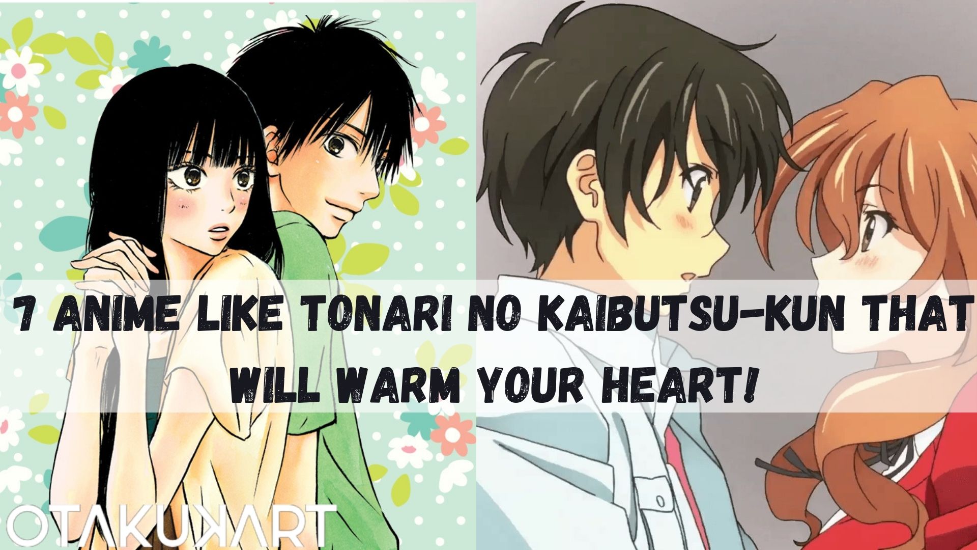 Anime Like Tonari No Kaibutsu-Kun That Will Warm Your Heart!