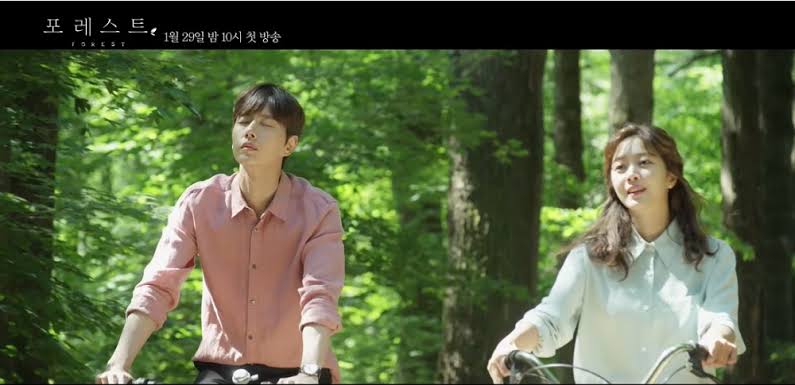Forest Kdrama review