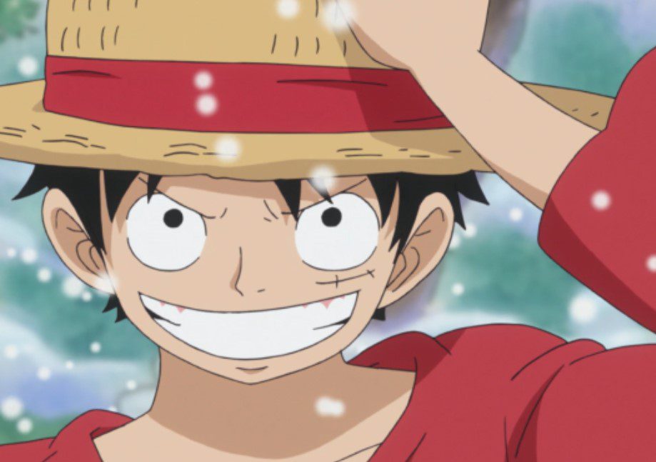 Luffy's Outfit