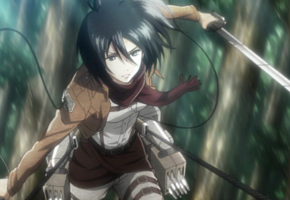 Mikasa's Outfit