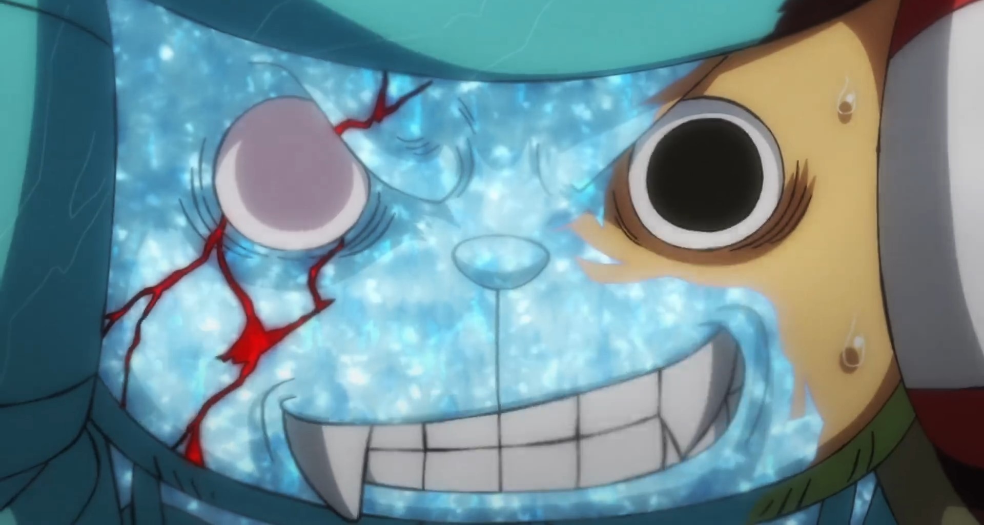 One Piece Episode 1023 Expectations