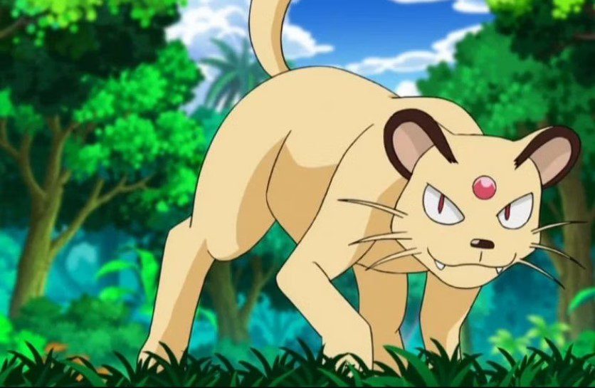 Cat Pokemon Characters