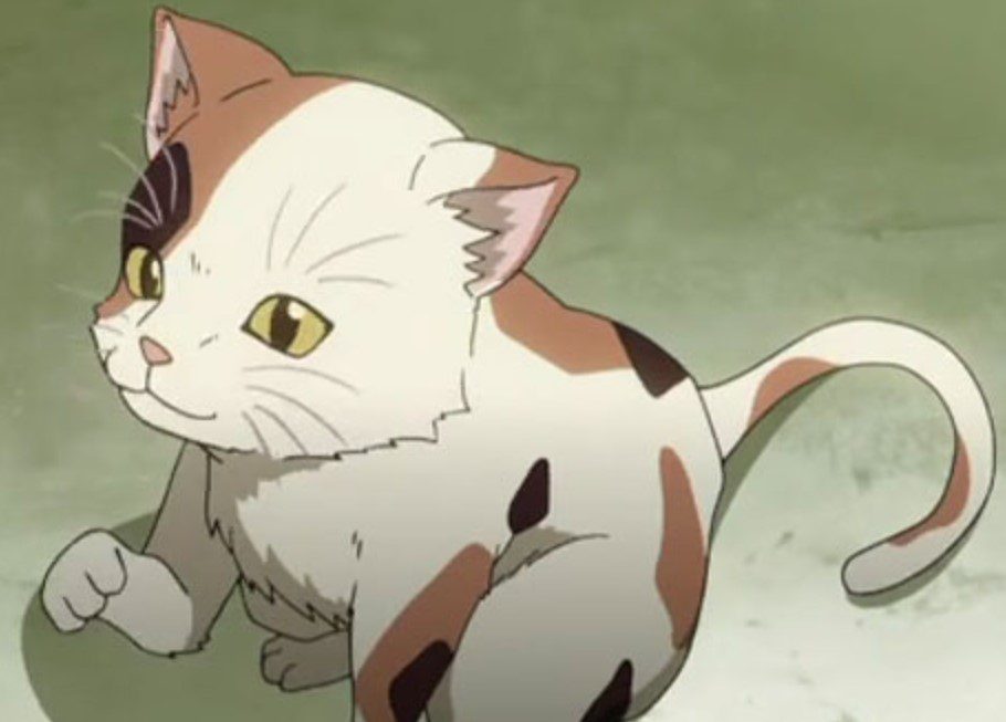 Popular Anime Cats