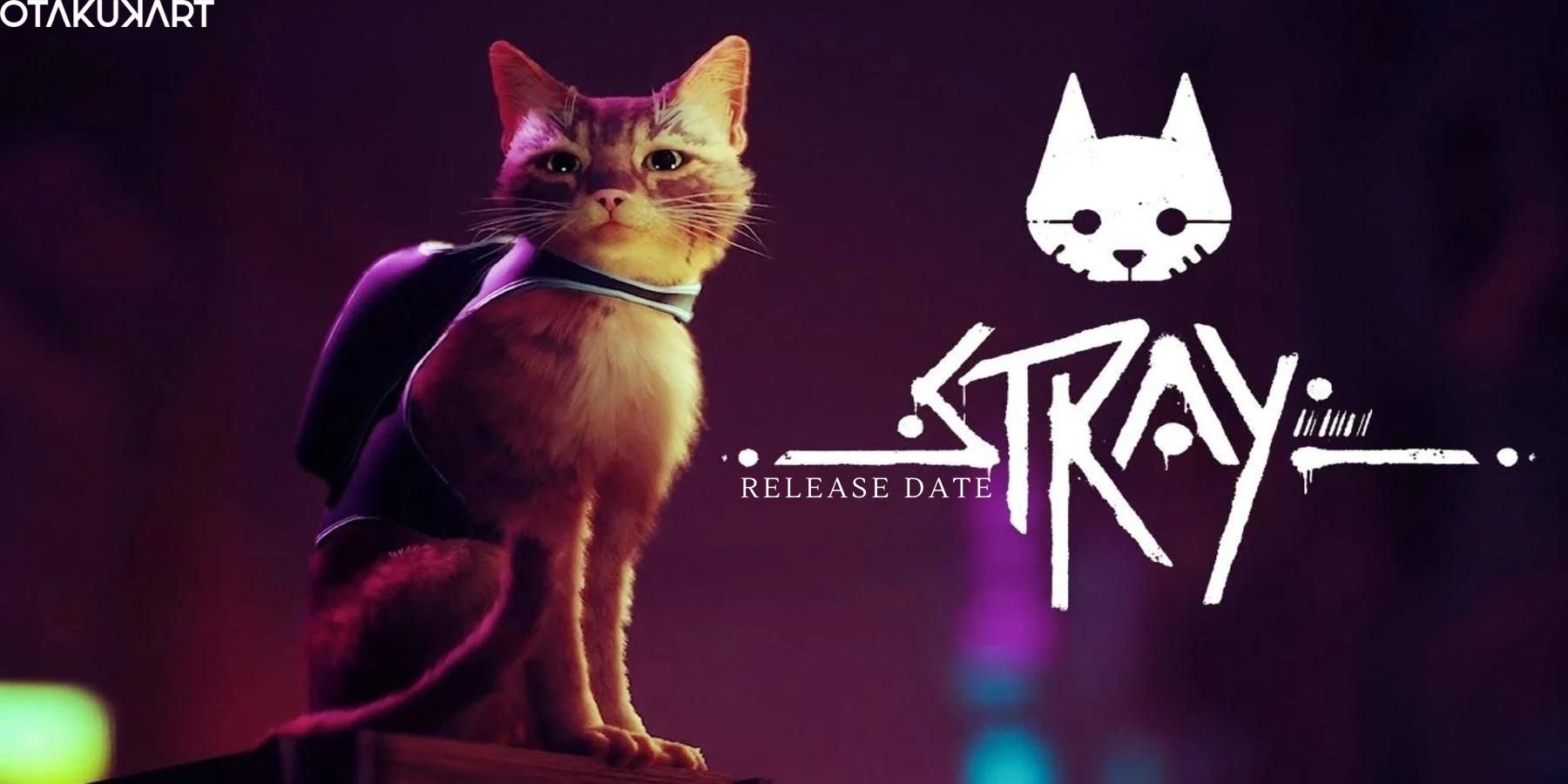 Stray Video Game Release Date