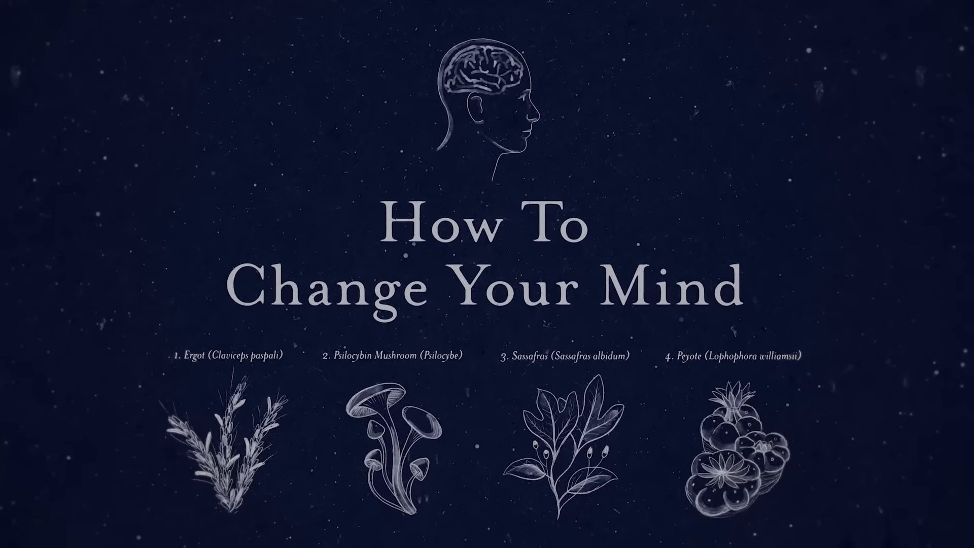 how to change your mind trailer