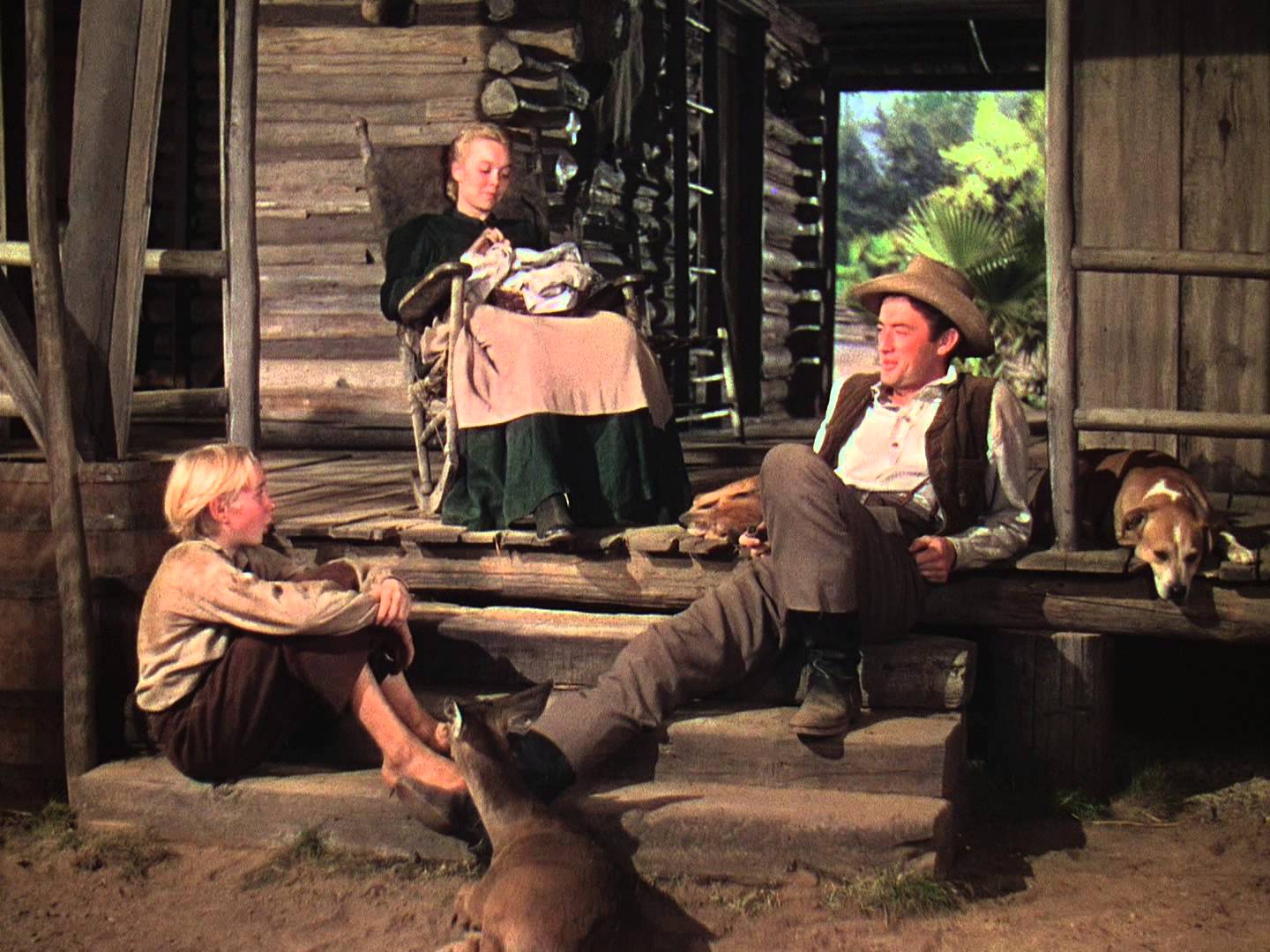 A scene from The Yearling