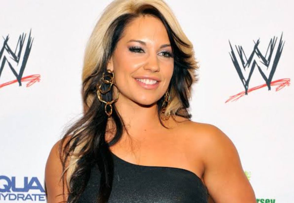Why did Kaitlyn quit WWE
