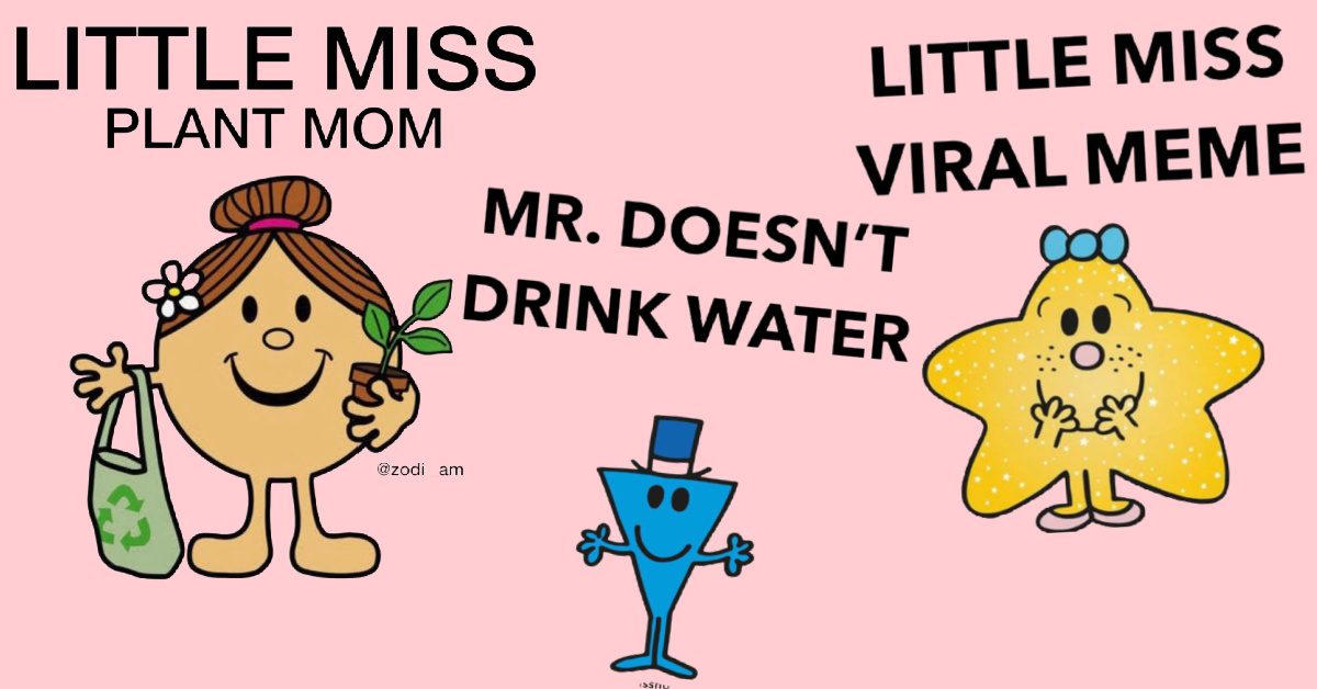 what is with little miss memes 