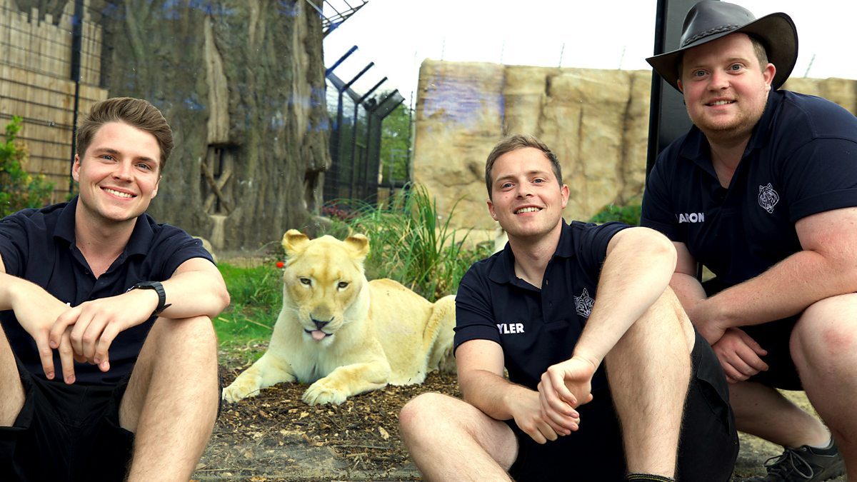 one zoo three on bbc