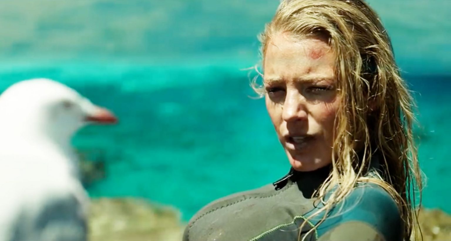 The Shallows Ending Explained: Did Nancy Save Herself From The Great ...