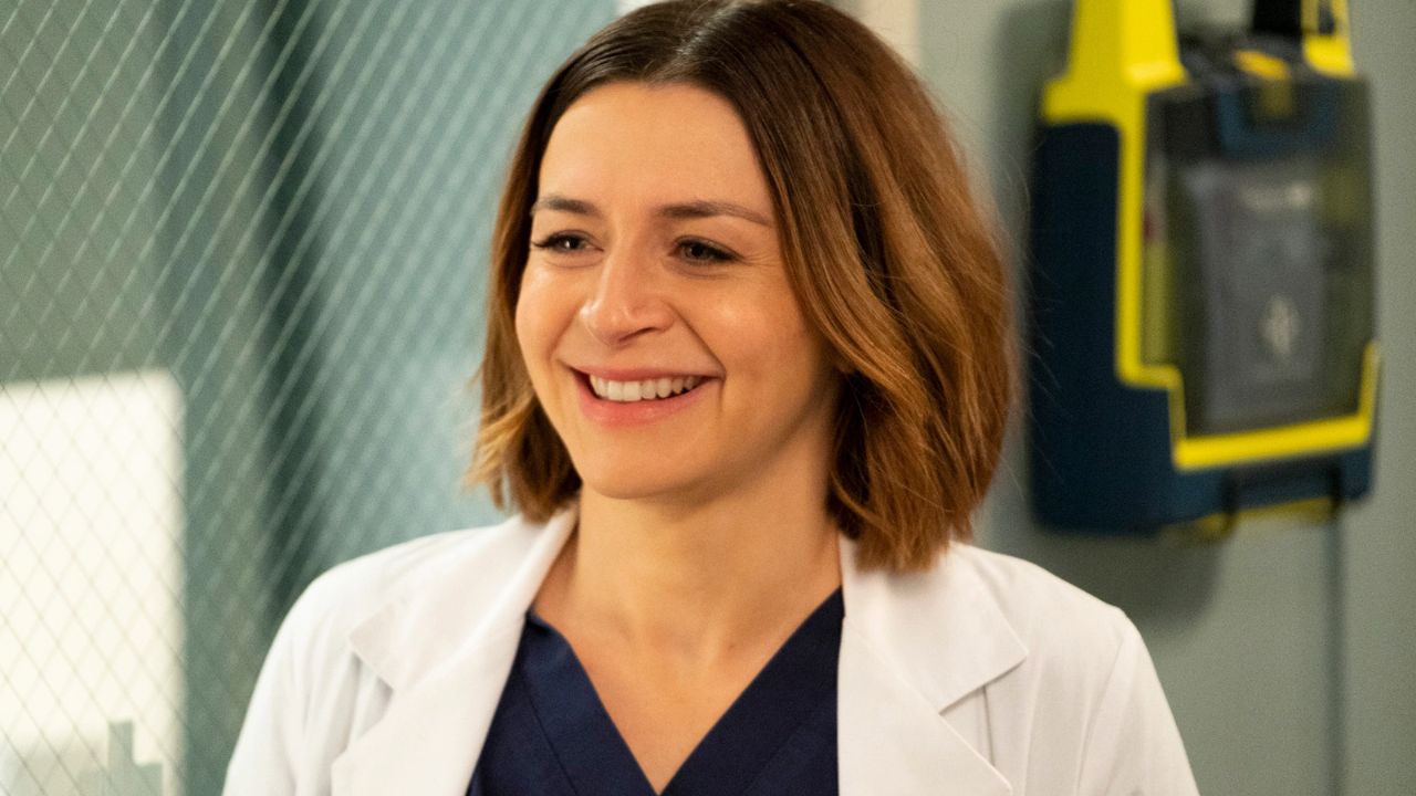 Who Does Amelia End Up With In Grey's Anatomy?