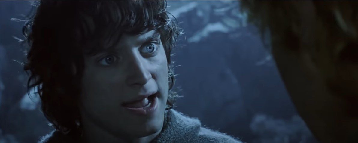 Frodo Baggins the Ring Bearer