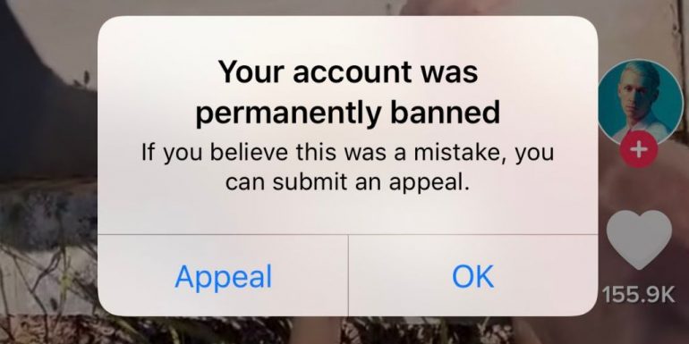 How To Submit An Appeal On Banned TikTok? - OtakuKart