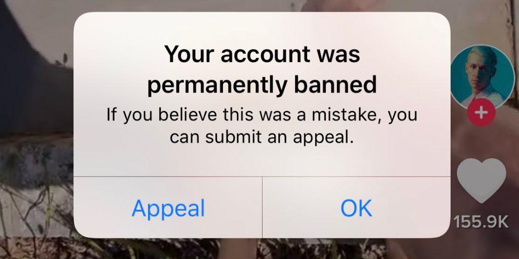 How To Submit An Appeal On Banned Tiktok