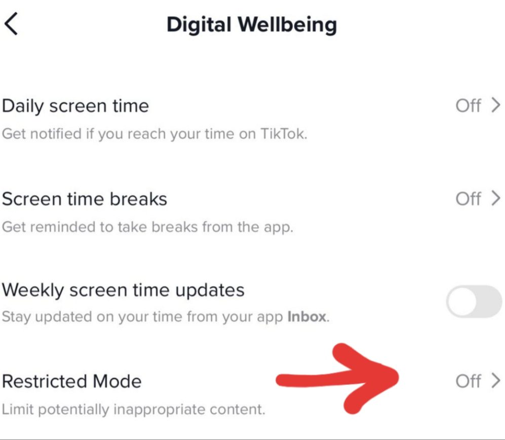 Tiktok Post is Age-Protected Warning