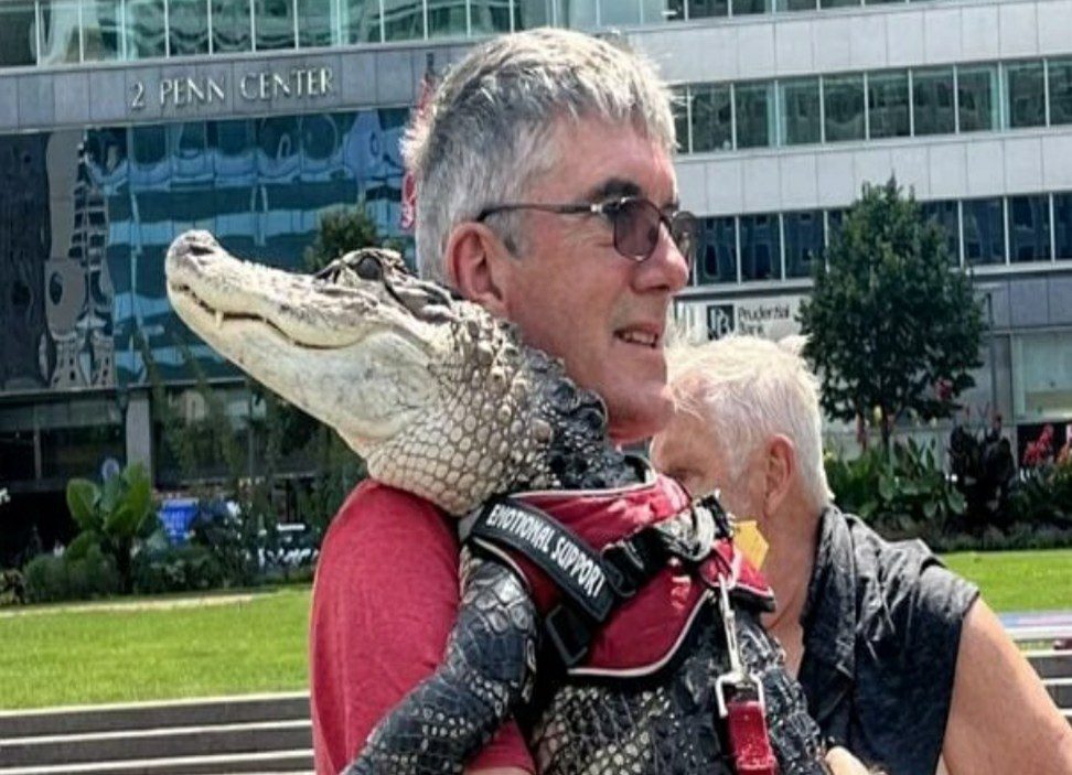 Wally, The Emotional Support Alligator