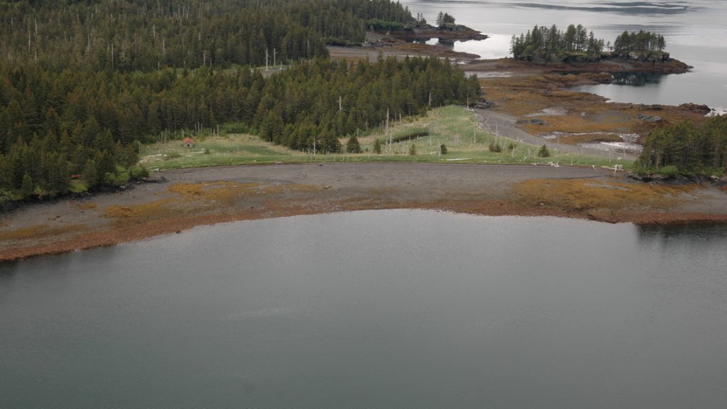 The Mystery Of Port Chatham A Creature Of Myth Comes Alive OtakuKart