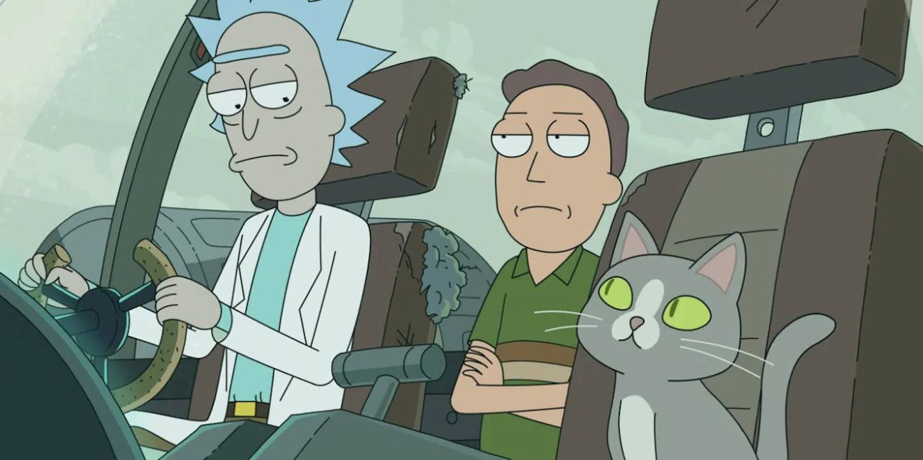 Rick and Morty: the secret of talking cat is finally out!