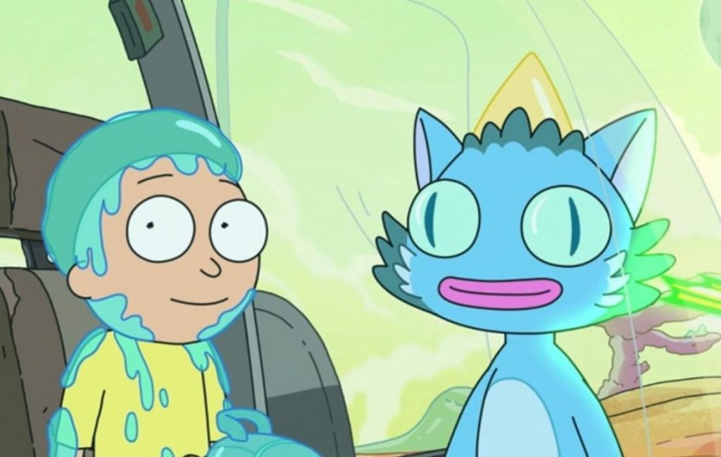 Rick and Morty: the secret of talking cat is finally out!