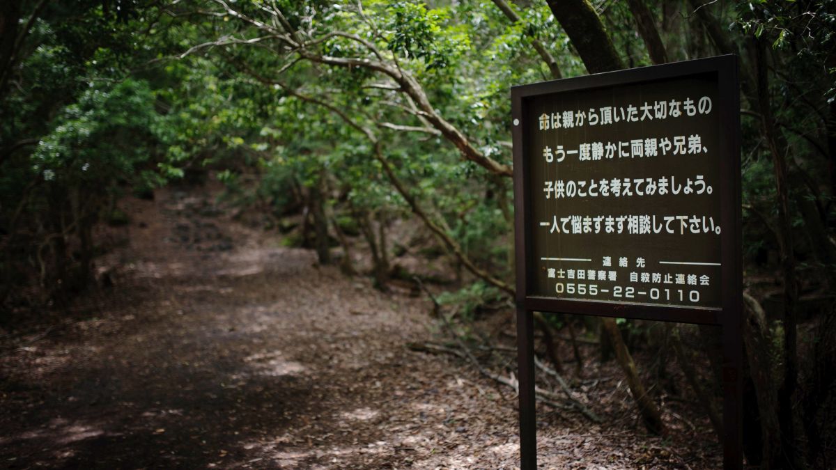 Aokigahara - Famous Suicide Forest's entry