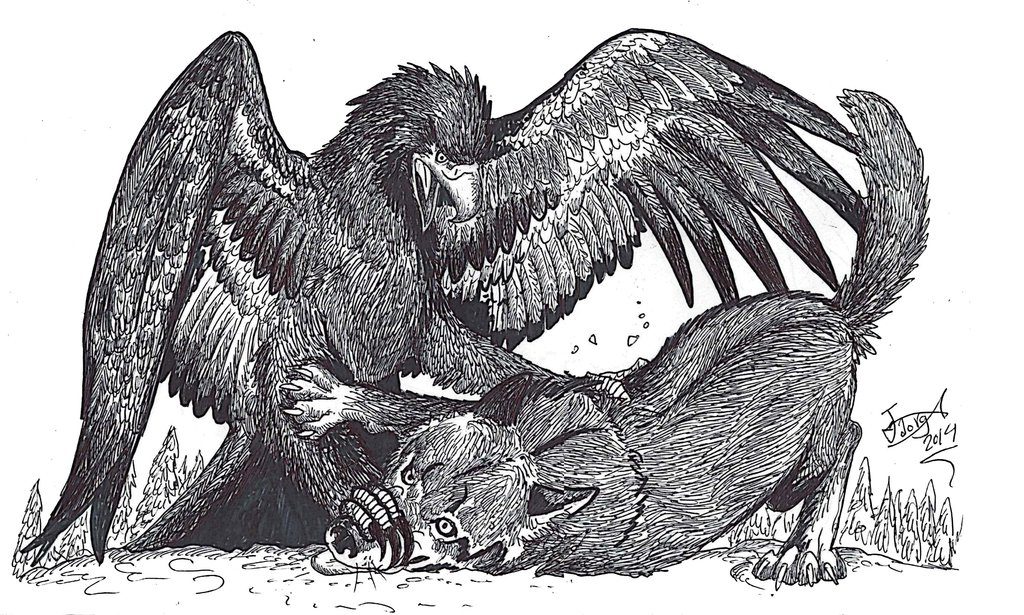 Illustration Of Taking Down A wolf