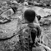 The Rwandan Genocide