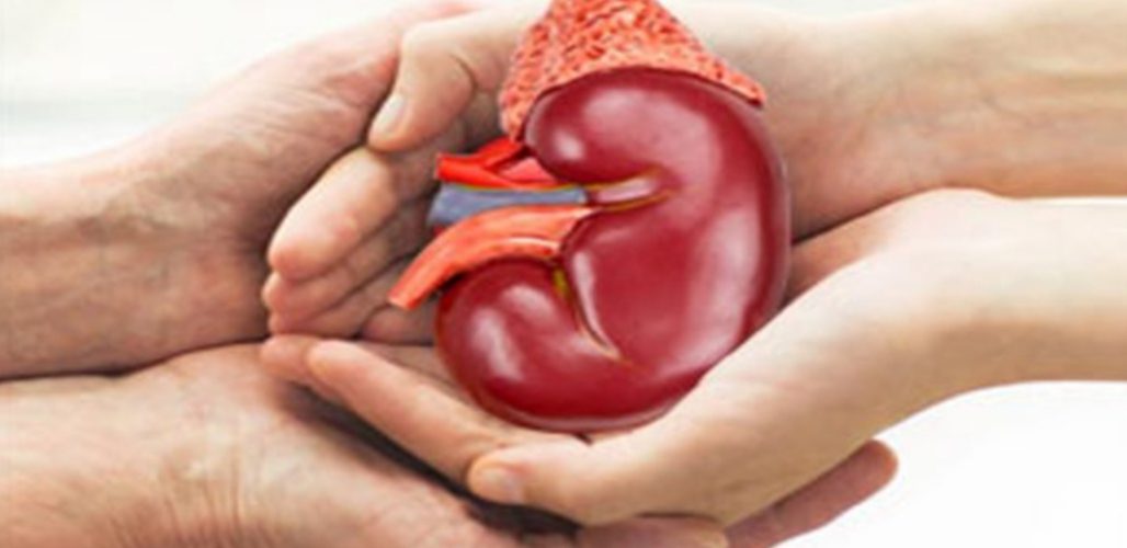 Despite being illegal in India, Google is currently showing advertisements of hospitals engaging in the sale of kidneys for $1 million. How true is th