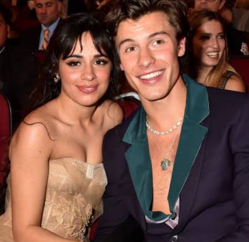 Is Shawn Mendes Still Dating Camil Cabello