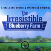 The Irresistible Blueberry Farm