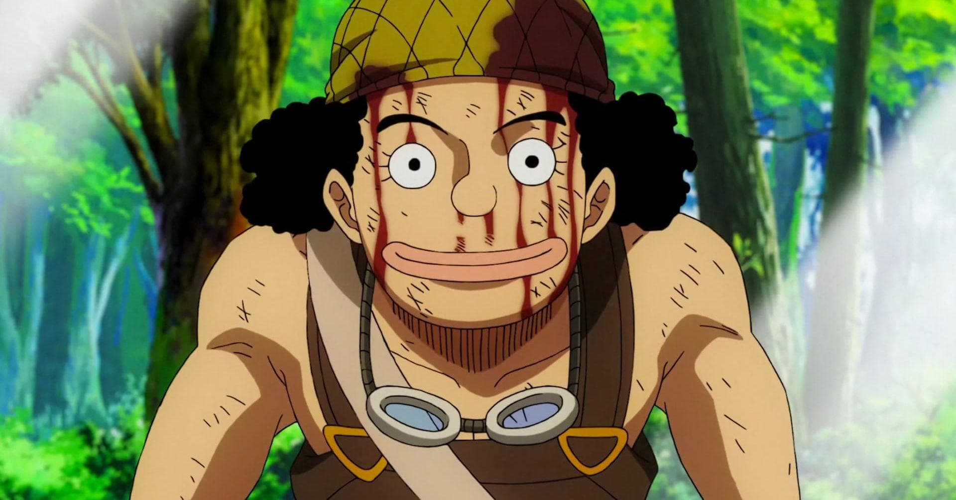 Usopp's Devil Fruit - One Piece 