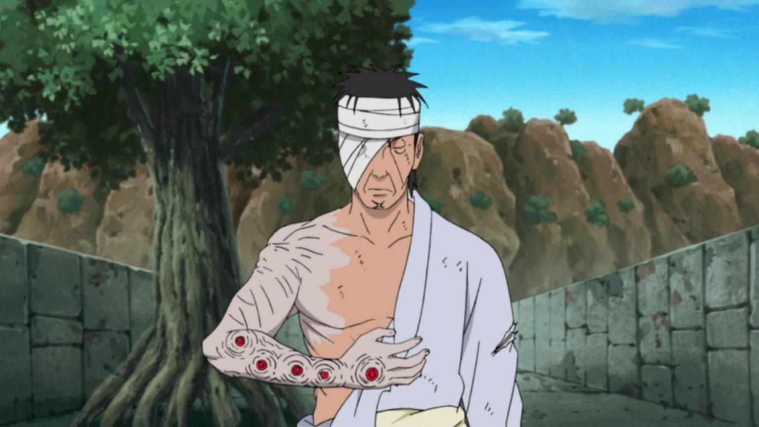 What Episode Does Danzo Die?