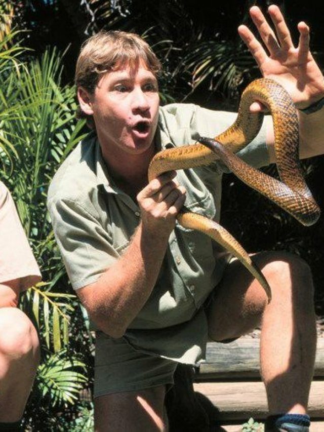 Steve Irwin Net Worth Reevaluated Since It's His Death Anniversary