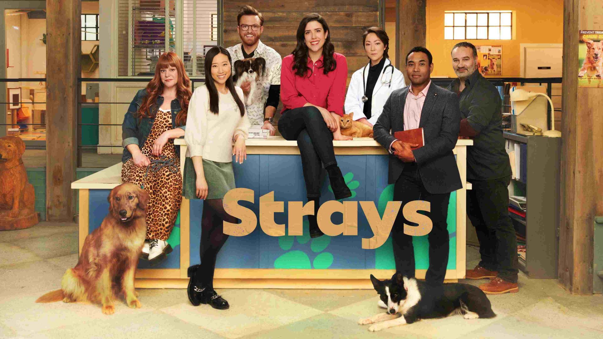 Strays Season 2 Episode 1 Release Date & How To Watch OtakuKart