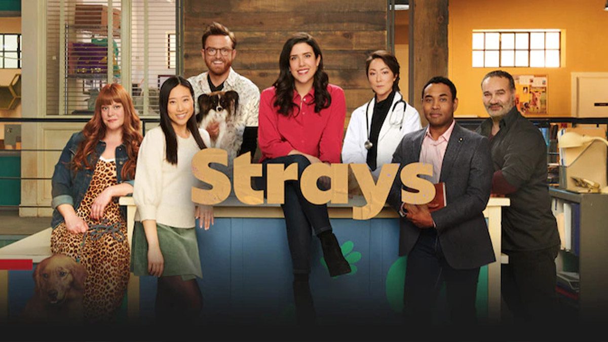 strays season 2