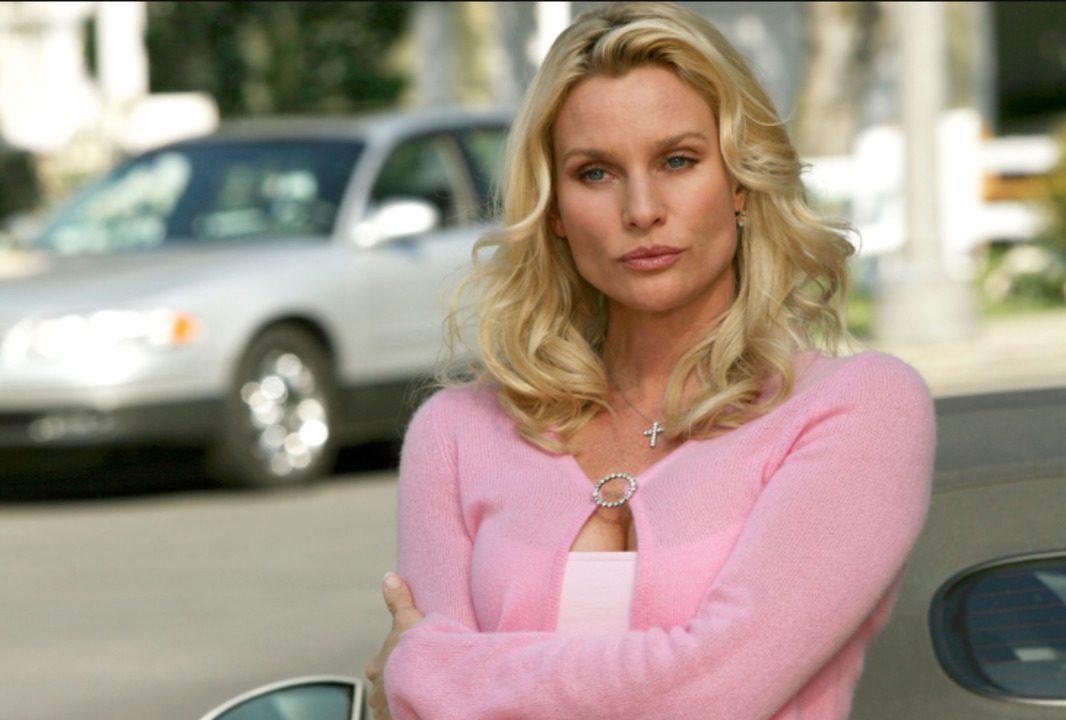 Nicollette Sheridan in her young days of career was a successful model and Dynasty show actress