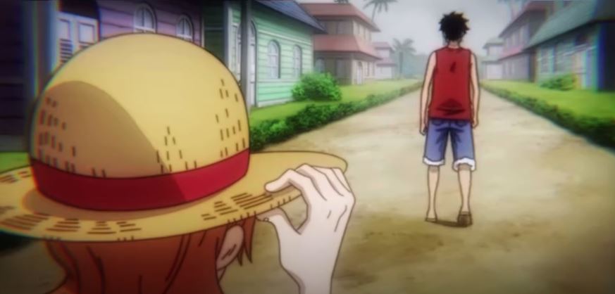 Does Nami Like Luffy: Everything We Know So Far